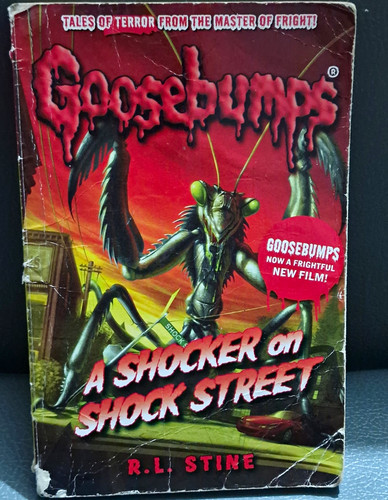 Goosebumps shocker shock - goosebumps,