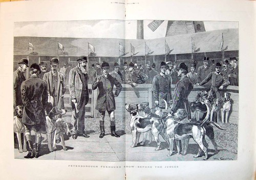 Original old antique print - original,