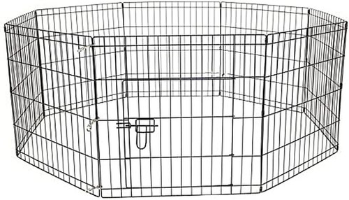 Pet dog pen puppy cat - dog,