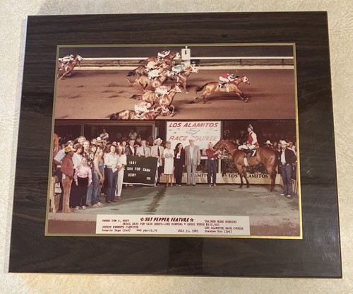 Quarter horse racing - horse,
