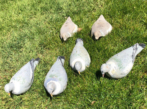 Decoy pigeons job lot - decoy,