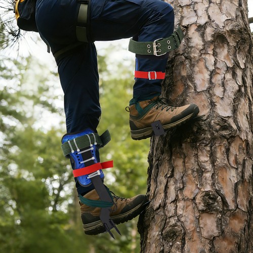 Tree climbing spike - tree,