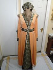 Medieval lady /queen  costume