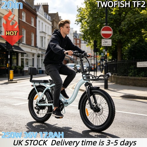 Folding electric bike 250w - 20",