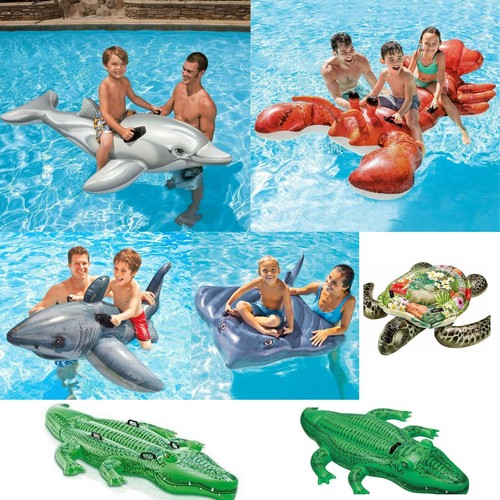 Inflatable ride novelty - inflatable,