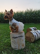 Beige dog dressing gown /dress