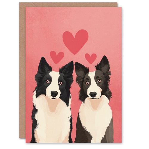 Border collie dog lover - collie,