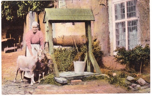 Staffordshire postcard rock - postcard,