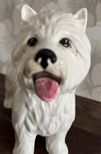 Vintage west highland - highland, terrier