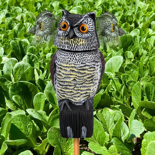Owl decoy 360 rotating - decoy, head