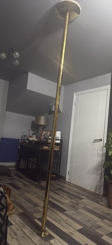 Gold fixed floor - gold, floor-to-ceiling