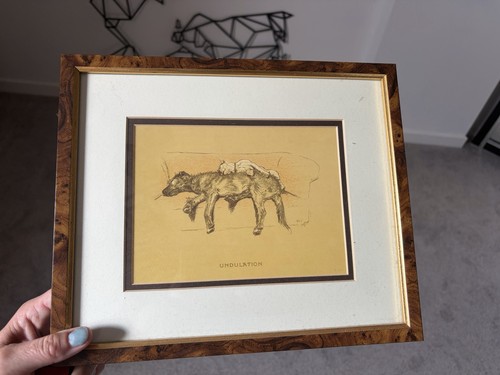 Irish wolfhound sofa - irish, art