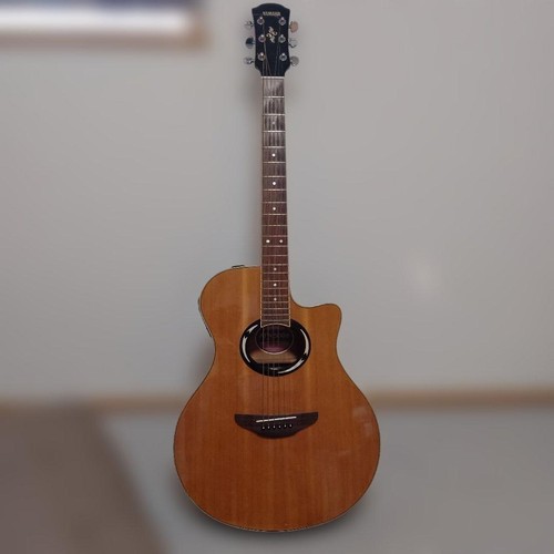 Yamaha apx500ii - apx500ii, nt