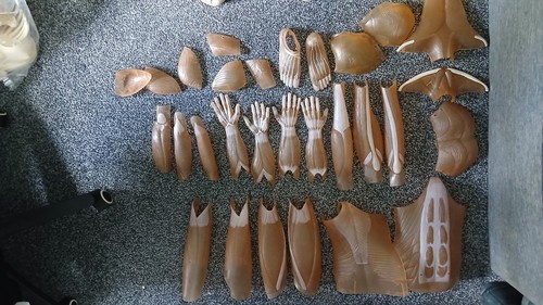 Funny bones human body - funny,