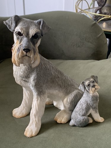 Country artists schnauzer with - schnauzer,
