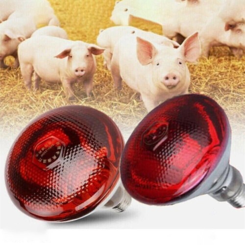 250w red infrared heat - 2/4x,