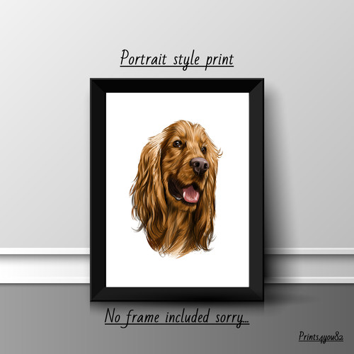 Cocker spaniel dog - cocker,