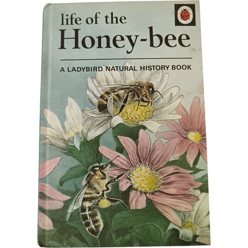 Vintage ladybird book life - ladybird, of