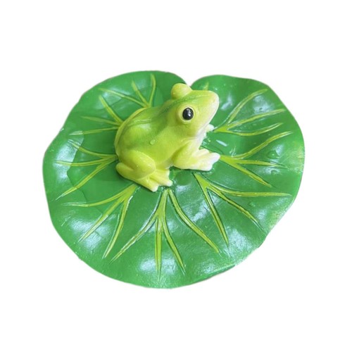 Floating water lily leaf with - floating,