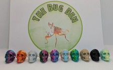 Mini skull. Jumping spider