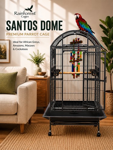 Rainforest santos dome antique - santos,