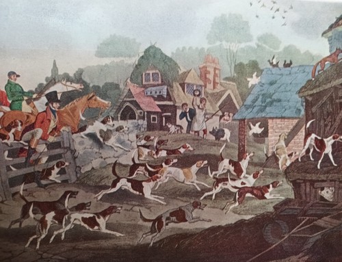 Vintage fox hunting - 1965, the