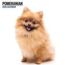 Pomeranian 2026 Modern