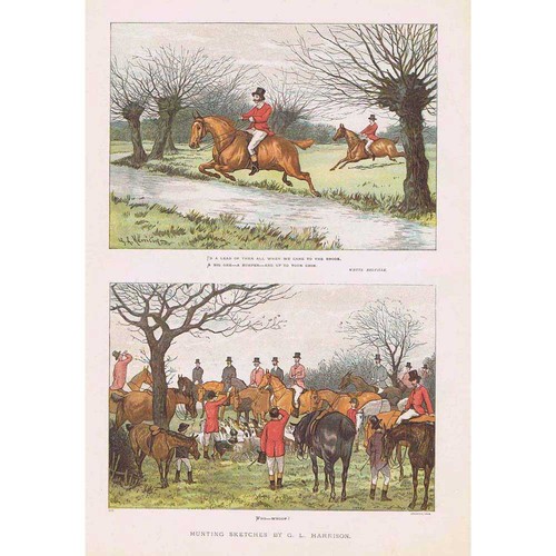Harrison victorian fox - harrison,