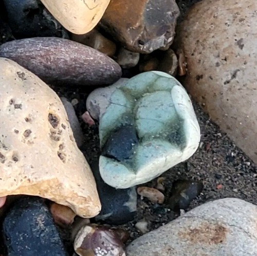 5cm large green - large, sea