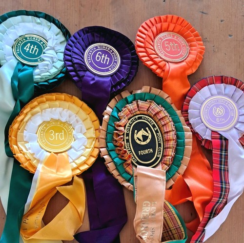 Vintage horse riding - vintage,