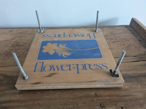 Vintage wooden rare habitat - vintage,