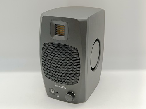 Active speaker only - only, adam