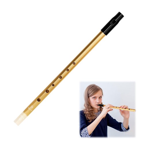 Tin whistle key irish - whistle, d