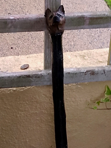 Black wood walking - black, cane