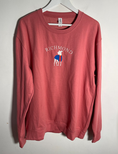 Ted lasso pullover sweatshirt - lasso,