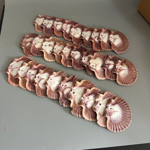 29pc natural purple scallop - 29pc,