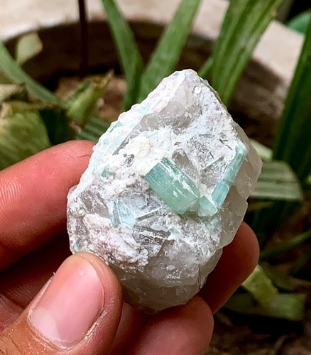 Gram natural paraiba - gram,
