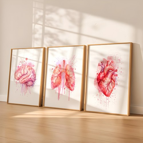 Watercolour anatomy set 3 - set,
