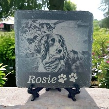 Dog Loss Photo Dog Grave Stone