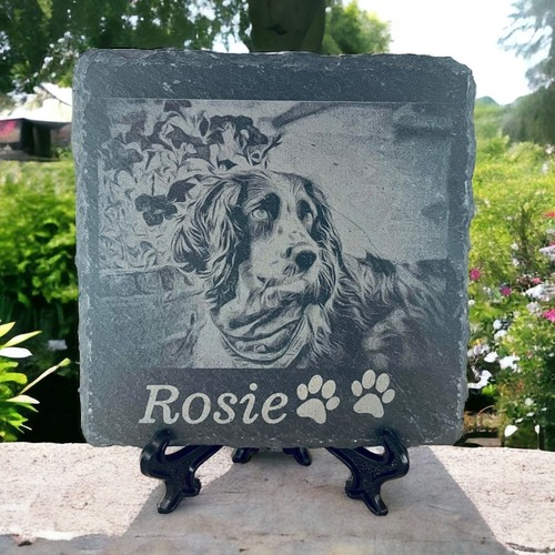 Dog loss photo - dog, grave