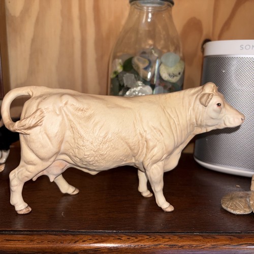 Beswick charolais cow matt - in,
