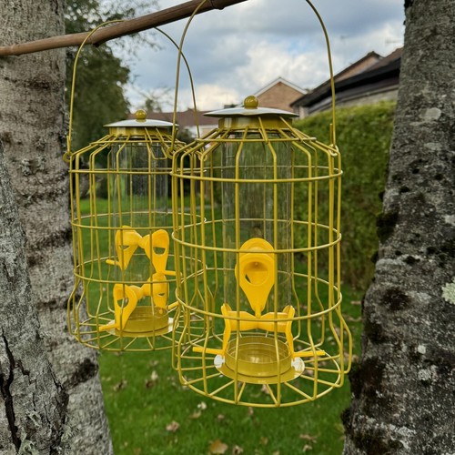 Hanging squirrel proof seed - hanging,