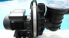 STA- RITE SWIMMING POOL PUMP