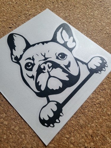 French bulldog frenchie - bulldog,