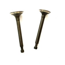 Exhaust & Inlet Valve Fits
