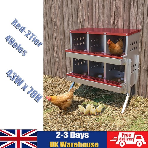 Room hen nest box - 6,