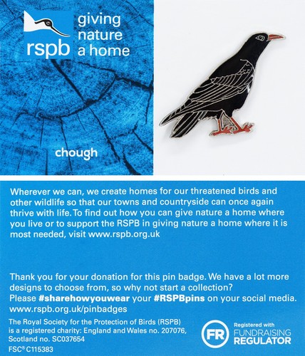 Rspb pin badge gnah - pin,