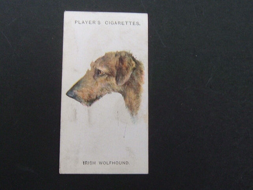 John player dogs - player's,