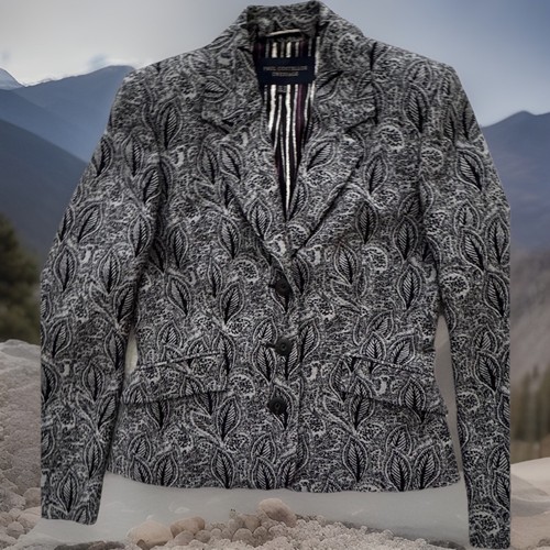 Paul costelloe grey dressage - paul,