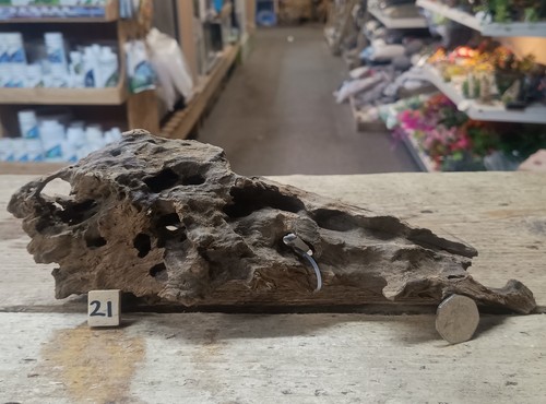 Dragon wood natural aquarium - natural,